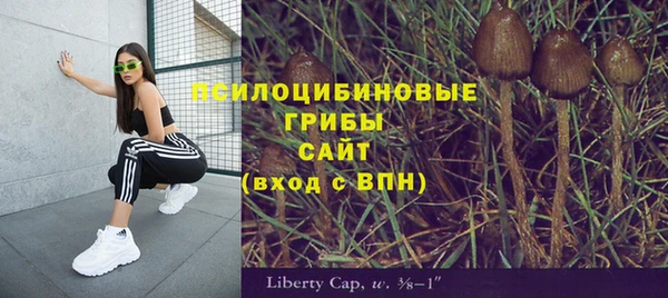 2c-b Аркадак