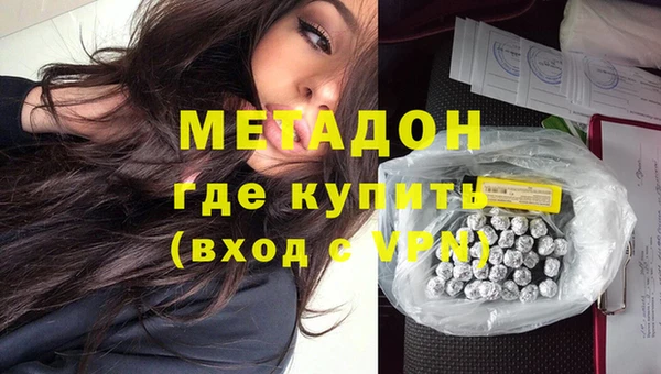 прущие грибы Покров